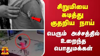 சிறுமியை கடித்து குதறிய நாய்...பெரும் அச்சத்தில் உறைந்த பொதுமக்கள்...