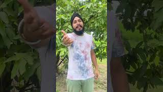 ਪੰਜਾਬ ਦੀਆਂ ਕਈ ਮਾਵਾਂ ਦਾ ਦੁਖ ਬਿਆਨ ਕਰਦਾ ਇਹ ਗੀਤ || Amarjeet Singh Virk || Doller || Pavitar Lassoi