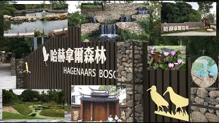 2024 11 19哈赫拿爾森林 小瀑布 日月湖 秘境 後花園 竹溪禪寺 南區 台南