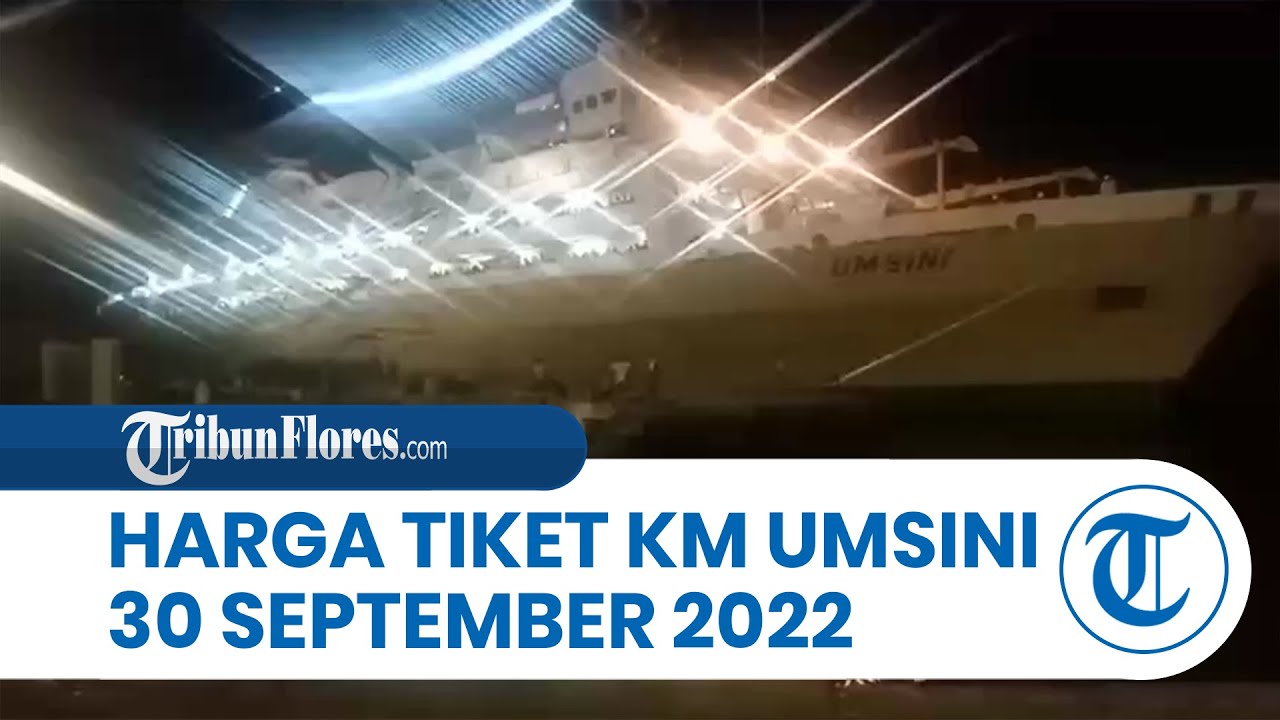 Harga Tiket Dan Jadwal Kapal Pelni Maumere, KM Umsini September Hingga ...