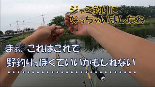 ヘラブナ釣り・びん沼川・2021/6/26