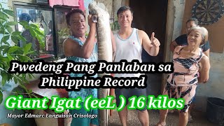 GIANT IGAT ( EEL ) 16 kilos, Grabe Ang laki.