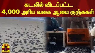 கடலில் விடப்பட்ட 4,000 அரிய வகை ஆமை குஞ்சுகள் | Turtle | Sirkali | ThanthiTV