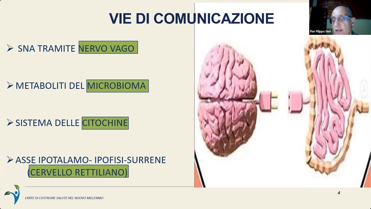 Asse Intestino Cervello - YouTube