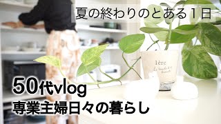 【50代Vlog】【食器の捨活】朝家事から夕飯まで/キッチンの不用品を処分/専業主婦時間がない日の手抜き昼ご飯/天然鰻で贅沢な夕飯/愛犬はトイプードル【夫は長期出張中】【専業主婦日々の暮らし】