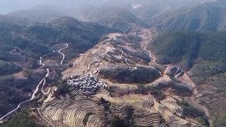 ハニ棚田で田植えの準備　雲南省紅河県