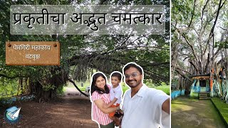 प्रकृतीचा अद्भुत चमत्कार  | Exploring the Giant Pemgiri Banyan Tree – One of India's Biggest Trees!