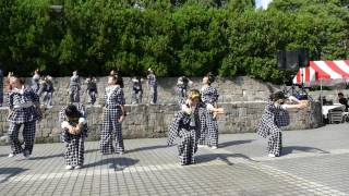 東京よさこい なな丸隊 （ 2016大江戸ソーラン祭り・メインステージ）