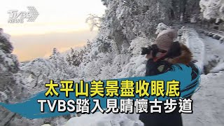 太平山美景盡收眼底 TVBS踏入見晴懷古步道｜TVBS新聞