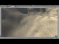 ggj17 unity 5.5 artificial intelligence food seeking