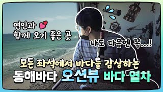 전 객실 동해바다를 바라보면서 가는 기차여행