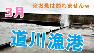 【釣り】道川漁港【3月】fishing