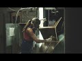 manufacturing process of plywood chair flow plycollection