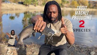 JIGGING for Trout | Fisherman's Retreat Trout Fishing | Trout off the Trout Magnet #theFitRealtor