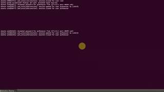Python Advanced Tutorial - How to build SSH client in Python