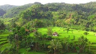 Inilah Lukisan Hidup Dari Sang Pencipta,Petualang Dikampung Surganya Air Di Desa,Pedesaan Jawa Barat