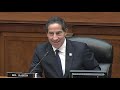 laissez faire strategy for everybody else rep. raskin grills doctor on herd immunity