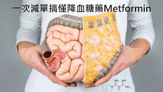 Metformin能用來減肥嗎？一次減單搞懂降血糖藥Metformin