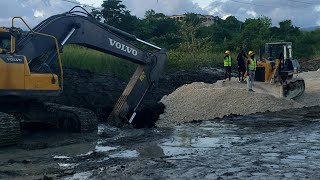 Chec Giving Blue Mahoe To Port Morant Some Well Deserve Attention