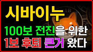 [ 시바이누 shib ] 100보 전진을 위한 1보 후퇴! 진짜 개 큰 거 왔습니다