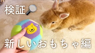 【検証】音の鳴るボールを新調！みんなの反応やいかに😳