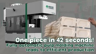 Automatic Pulp Molding Machine | High-Efficiency Eco Packaging Solution