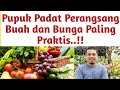 Pupuk Padat Perangsang Buah dan Bunga, Paling Praktis dan Kuat..! Agar Tanaman Cepat Berbuah,