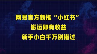 网易官方新推“小红书”搬运即有收益新手小白千万别错过