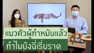 แมวตัวผู้ทำหมันแล้ว ทำไมยังฉี่เรี่ยราดอยู่ | รายการ pet care onair