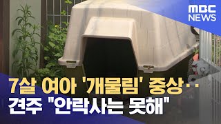 7살 여아 '개물림' 중상‥견주 \