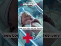 little baby boys new birth baby normal delivery pregnant newbornbaby ytshorts ytshortsvideo