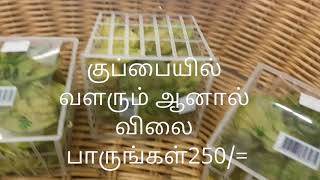 எங்க ஊரு குப்பையில் வளரும் இந்த செடியின் பழம் இதன் விலை 250/=