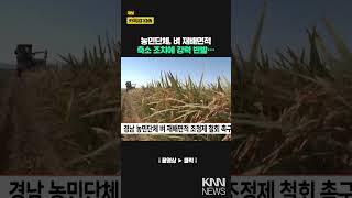 경남 농민단체 벼 재배면적 조정제 철회 촉구 / KNN