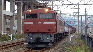 【重連】JR貨物 門司機関区 EF81 404号機 + ムド451号機 1063レ 貨物列車 西小倉駅通過