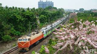 【台鐵】2023-03-26 8795次EMU900型迴送車 楠梓北通過