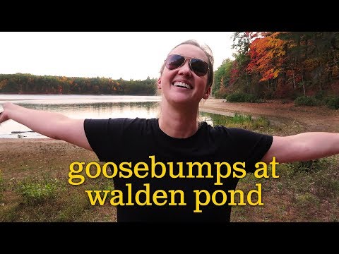 How much is parking at Walden Pond?