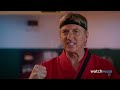 Top 10 Cobra Kai Characters Who Won the Most Fights