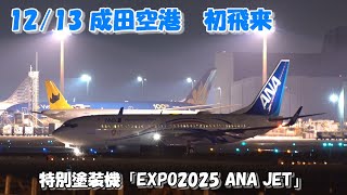 【ANA特別塗装機「EXPO2025 ANA JET」早くも成田空港に初飛来  】　2024.12.13 ４K撮影NARITA　Airport 成田空港　 ANA 　B737　JA58AN　特別塗装機