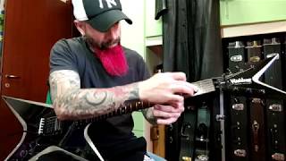 Pantera - Walk solo Washburn Dime ST2