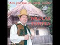 am ajuns fără de vină nicolae tontea