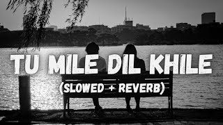 Tu Mile Dil Khile [Slowed+Reverb] Chillout | Raj Barman | Instagram Reels Viral Song | Error Vibes