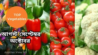 আগস্ট,সেপ্টেম্বর ও অক্টোবর মাসে কি কি  লাগাবেন।সেরা কিছু শীতের সবজি।