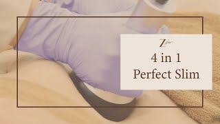 4 in 1 Perfect Slim