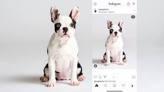 How to do SEAMLESS Multi Posts on Instagram