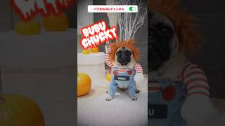 ブブチャッキーがやってくる/BuBu Chucky Coming【パグ犬BuBu】 #pug #dog #halloween