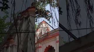 Kids of an owl on beutiful temple Shikhar of Kuber Bhandareshwar Mahadev Narmada Parikrama, Sinort