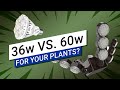 ☀️ Grow Light 36W LED (Bulb) versus 60W LED Grow Light 🏆 (What's the Best Light for a Windowsill?)