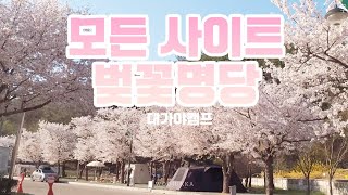 모든사이트가 벚꽃명당 | 벚꽃캠핑 | 벚꽃캠핑추천 | 벚꽃캠핑명소 | 허브쉘터 | 고령 대가야캠프 캠핑장 | 데크 위치안내  | 온핑 허그 캠핑테이블 | 우리주말에뭐할까