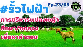 Ep.23/65 #รั้วไฟฟ้า การจัดการแปลงหญ้า สำหรับวัว 23 ตัว