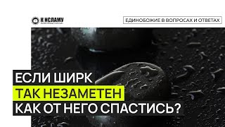 Если ШИРК так незаметен, как от него спастись? Шарх хадиса «Многобожие незаметнее ползущего муравья»